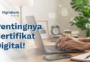 Ilustrasi seseorang sedang bekerja dengan laptop untuk mengelola dokumen elektronik yang dilindungi oleh sertifikat digital demi menjamin legalitas hukum.