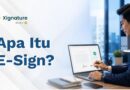 Apa Itu E-Sign?